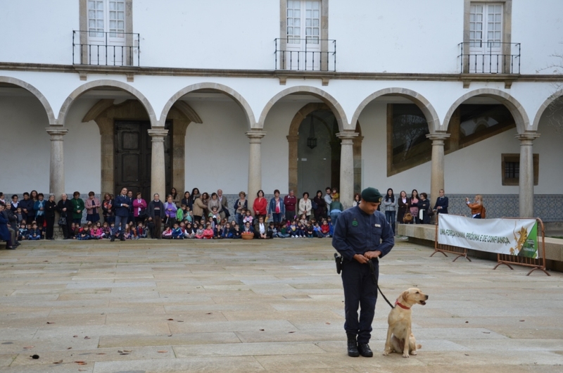 Iniciativa «Laços de Afetos»