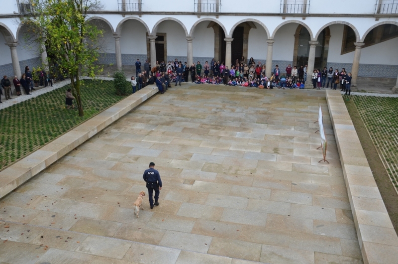 Iniciativa «Laços de Afetos»