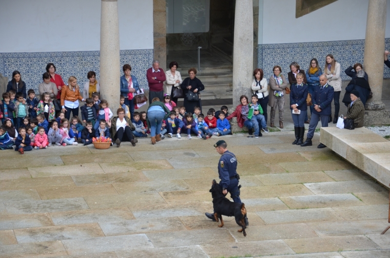 Iniciativa «Laços de Afetos»