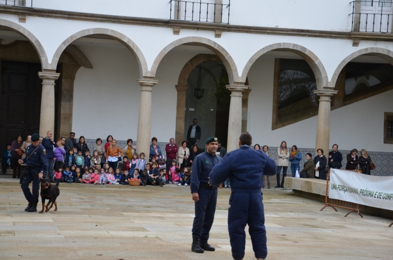 Iniciativa «Laços de Afetos»