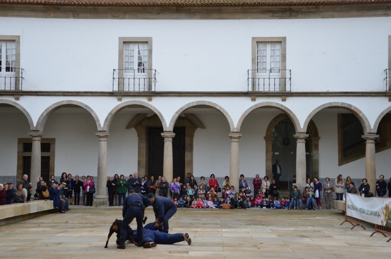 Iniciativa «Laços de Afetos»