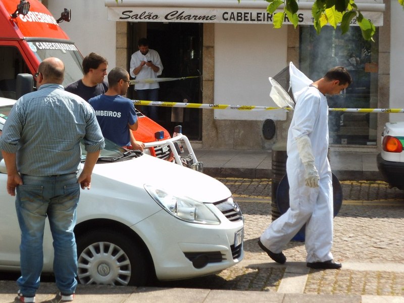 Ninhos de vespa