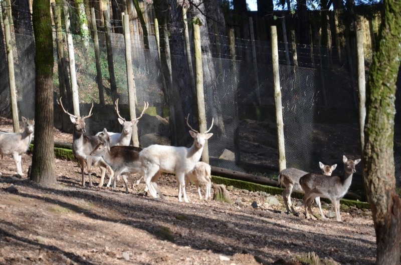 Centro de Educação Ambiental de Cabeceiras de Basto
