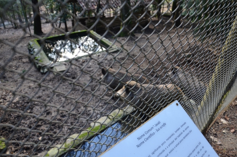 Centro de Educação Ambiental de Cabeceiras de Basto
