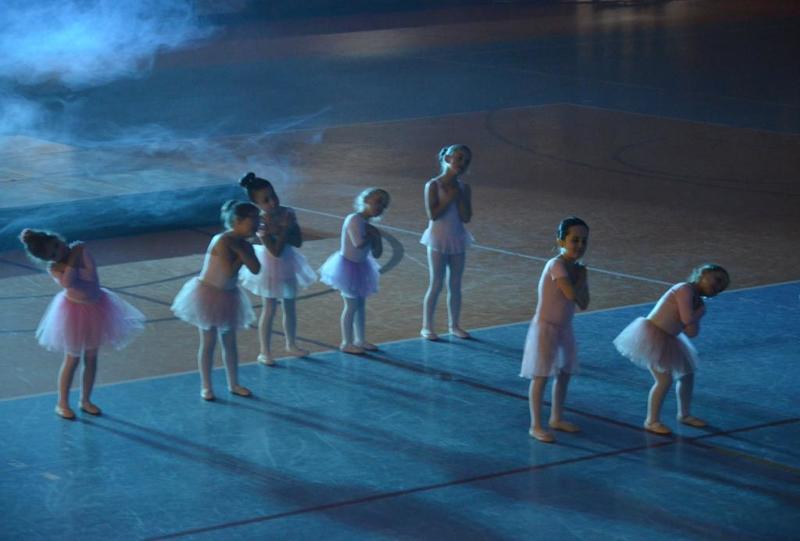 Dia da Dança