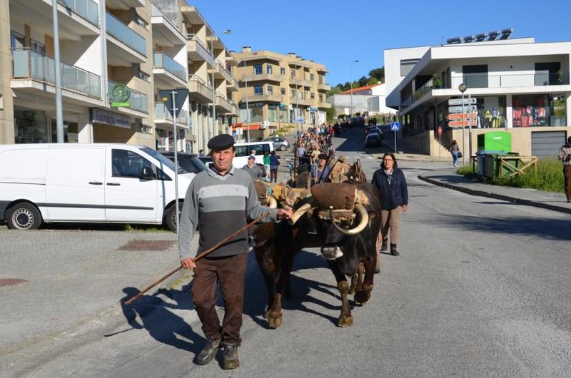 Lavoura Tradicional