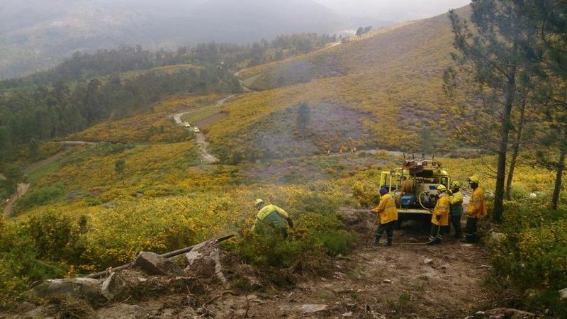 Sapadores Florestais
