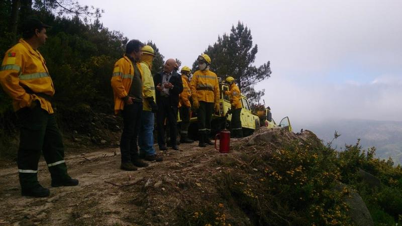 Sapadores Florestais