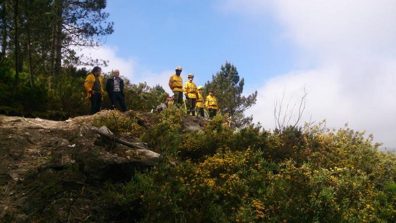 Sapadores Florestais