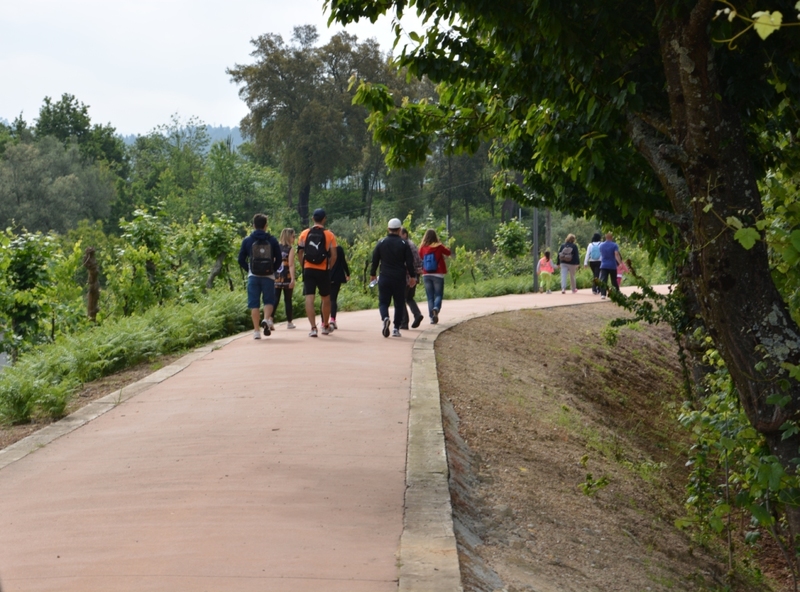 Caminhada pelo Ambiente