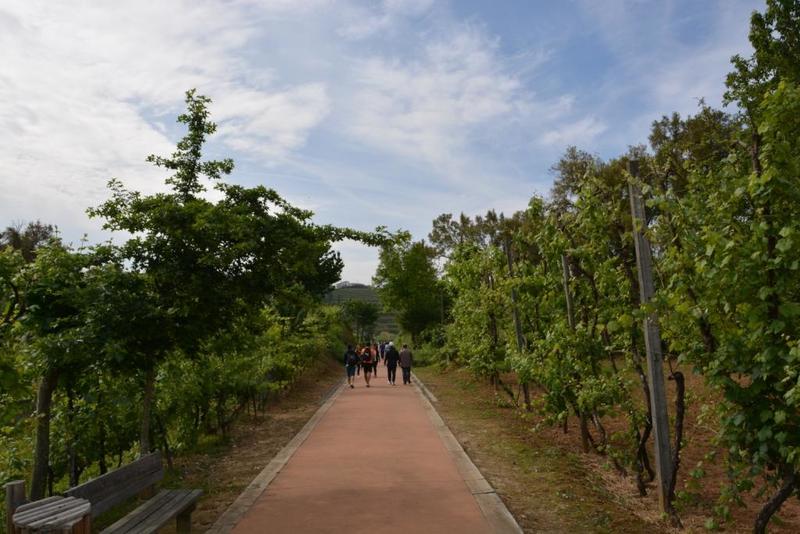 Caminhada pelo Ambiente