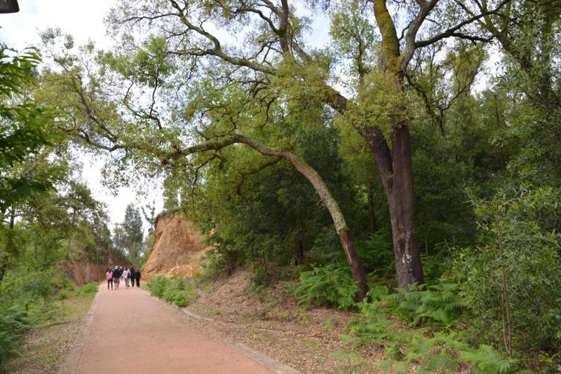 Caminhada pelo Ambiente