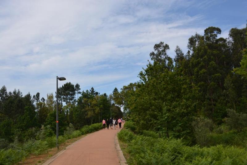 Caminhada pelo Ambiente