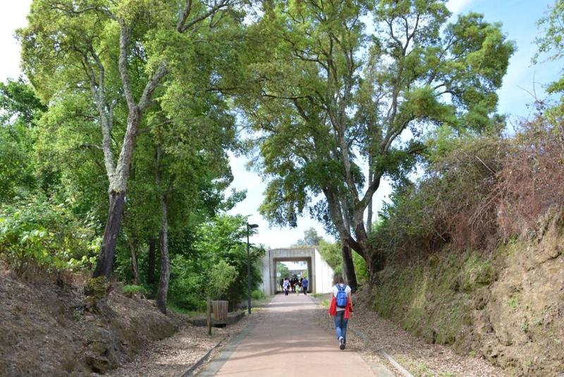 Caminhada pelo Ambiente