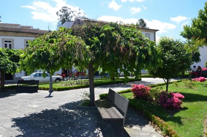 Ulmeiros