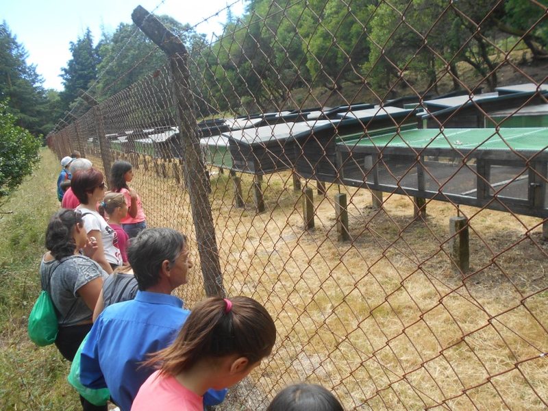 Férias de Verão
