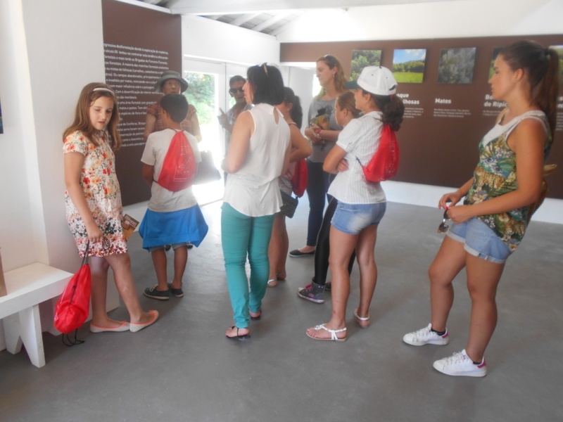 Férias de Verão