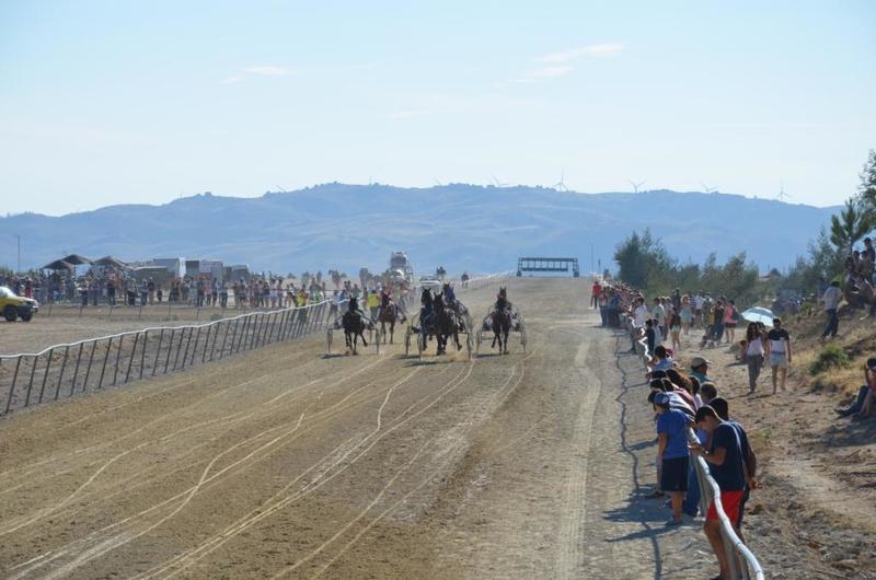  Corrida de Cavalos