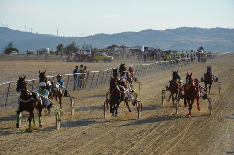  Corrida de Cavalos