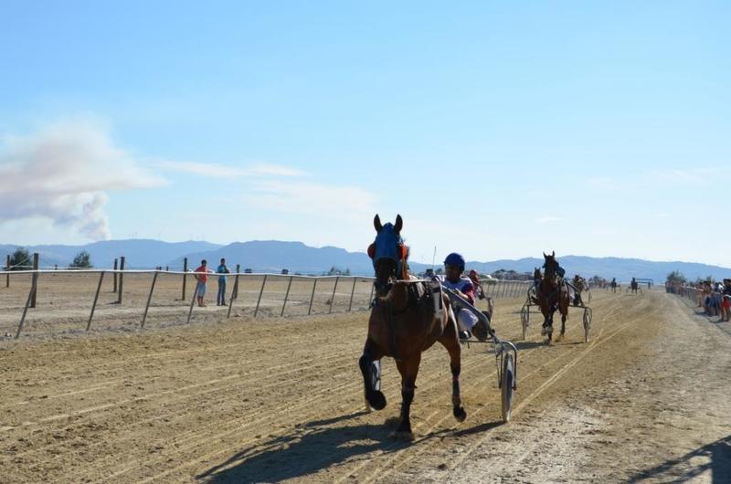  Corrida de Cavalos