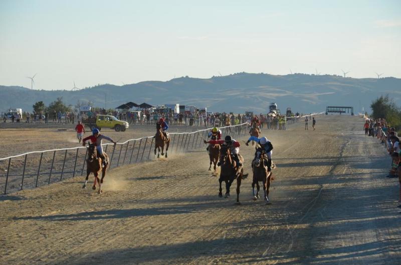  Corrida de Cavalos