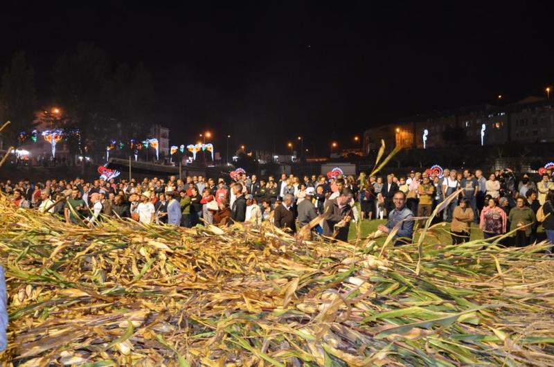 Desfolhada Tradicional