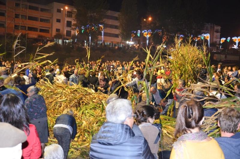 Desfolhada Tradicional