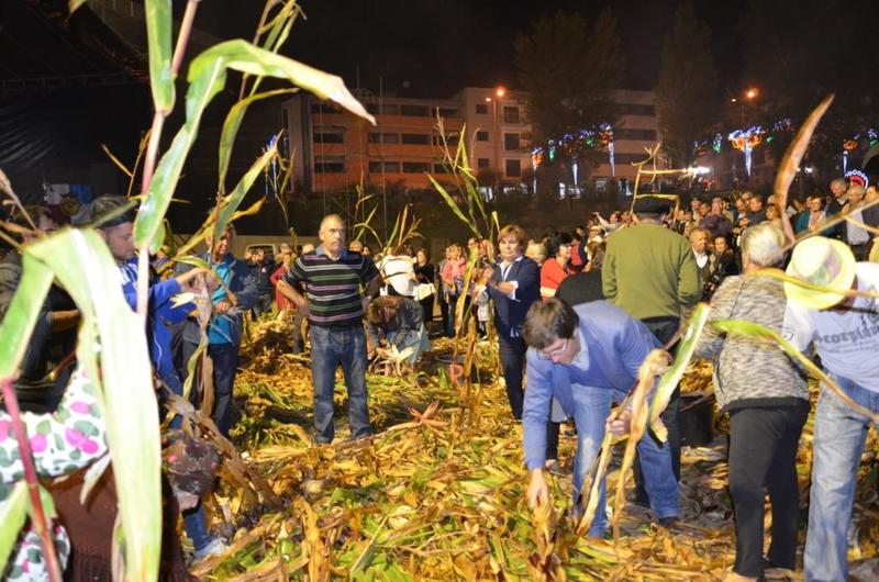 Desfolhada Tradicional