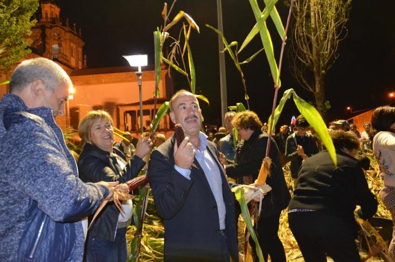 Desfolhada Tradicional