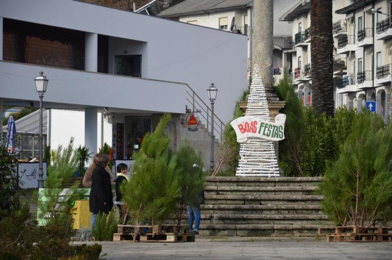Câmara Municipal oferece «Pinheirinho de Natal»