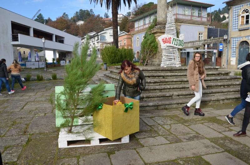 Câmara Municipal oferece «Pinheirinho de Natal»