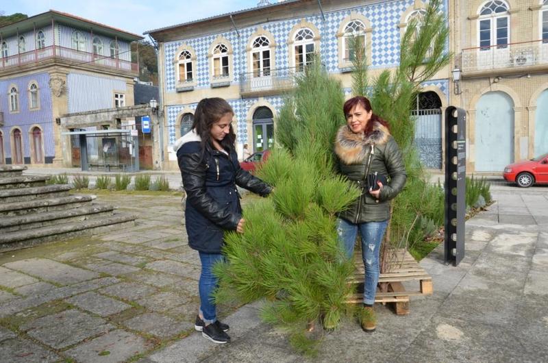 Câmara Municipal oferece «Pinheirinho de Natal»