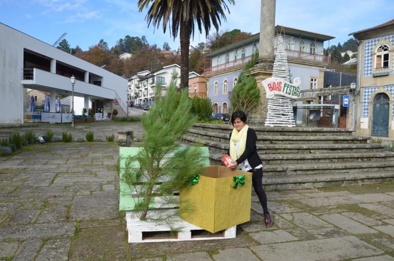 Câmara Municipal oferece «Pinheirinho de Natal»