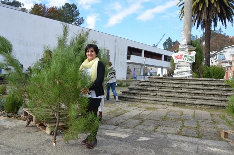 Câmara Municipal oferece «Pinheirinho de Natal»