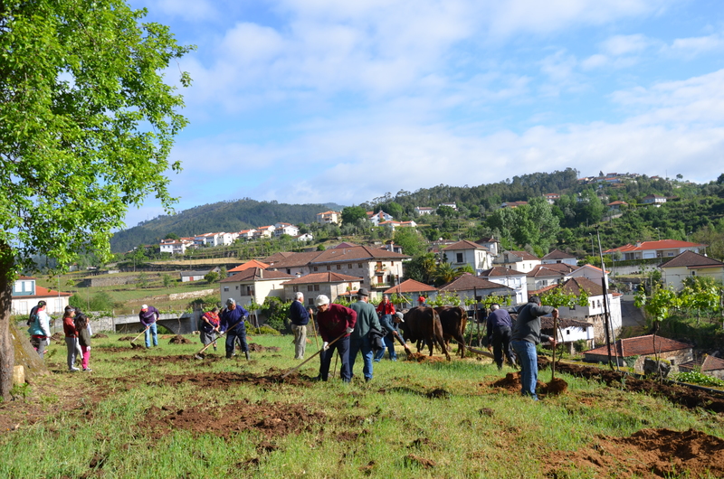 Lavoura Tradicional