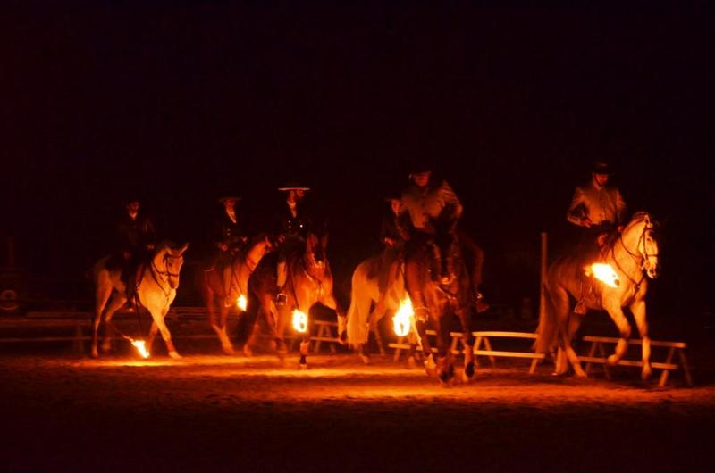 Feira do Cavalo