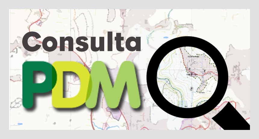 Consulta do PDM