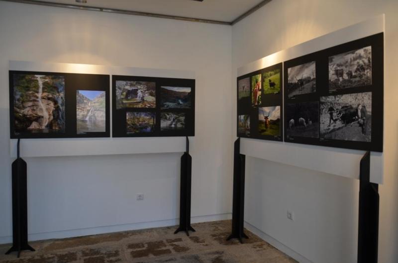 Exposição