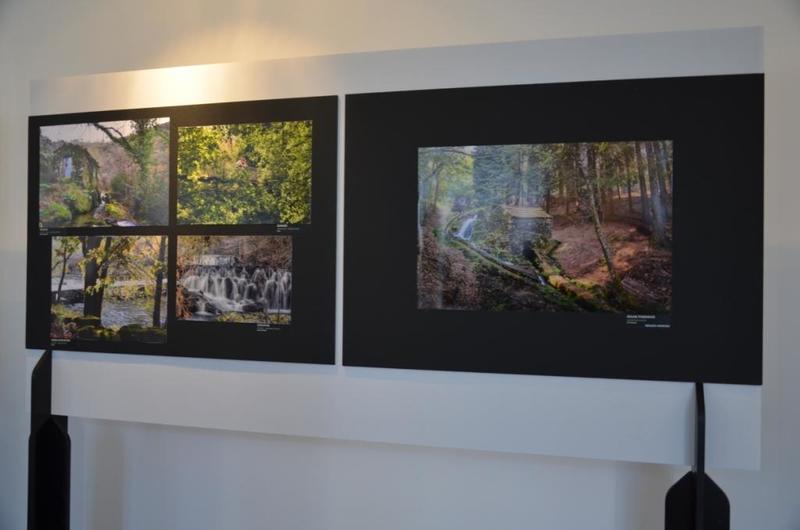 Exposição
