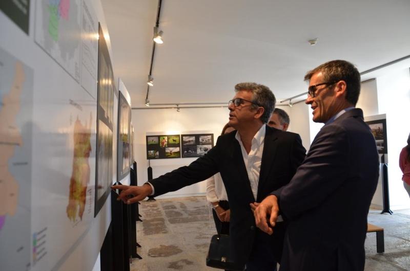 Exposição