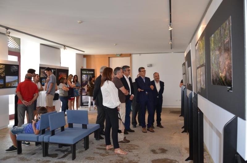 Exposição