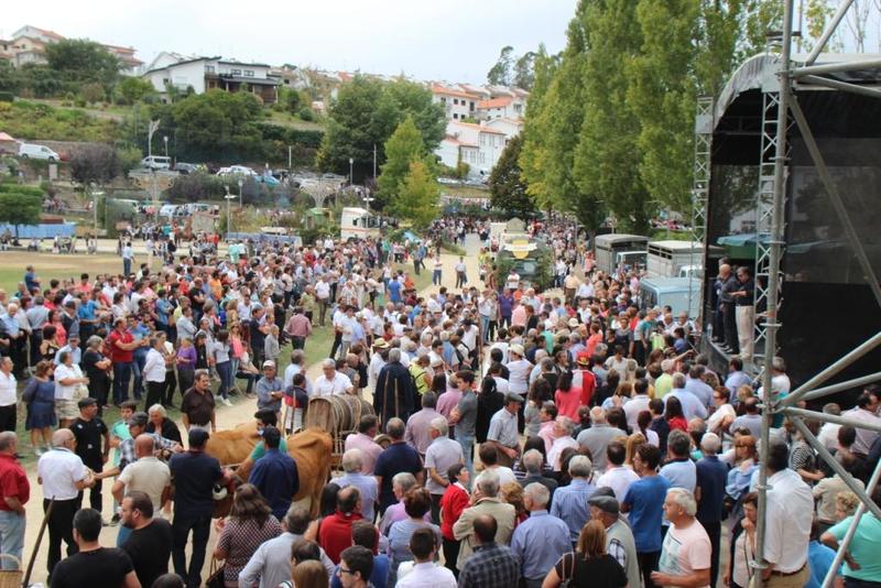 Cortejo Etnográfico
