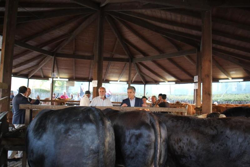 Agrobasto 2017