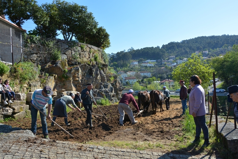 Lavoura à moda antiga