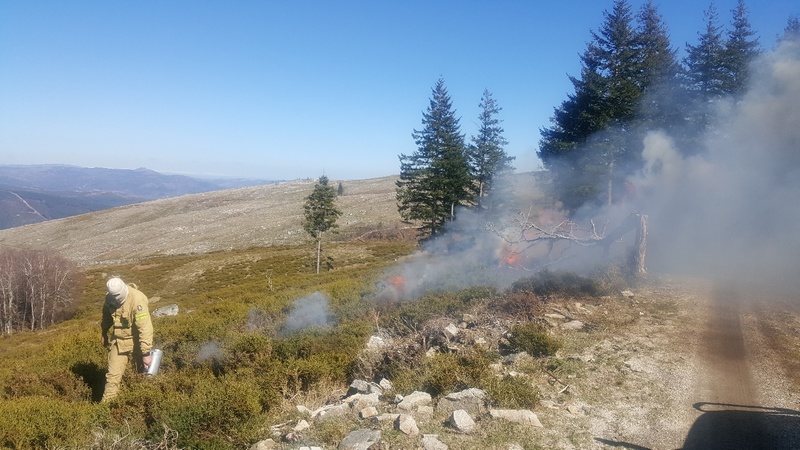 Fogo Controlado