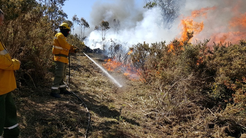 Fogo Controlado