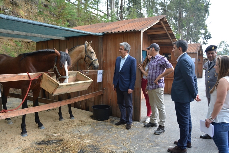 Feira do Cavalo
