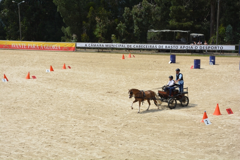 Feira do Cavalo