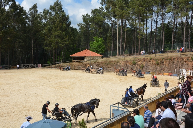 Feira do Cavalo