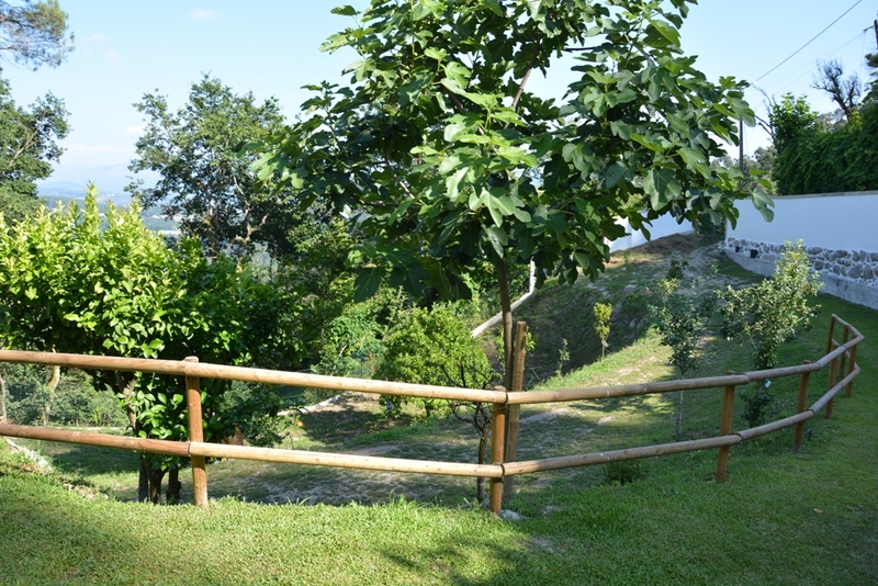 Autarcas Cabeceirenses visitam Quinta da Tormenta